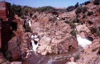 /album/pirriblog/pielago-jpg/